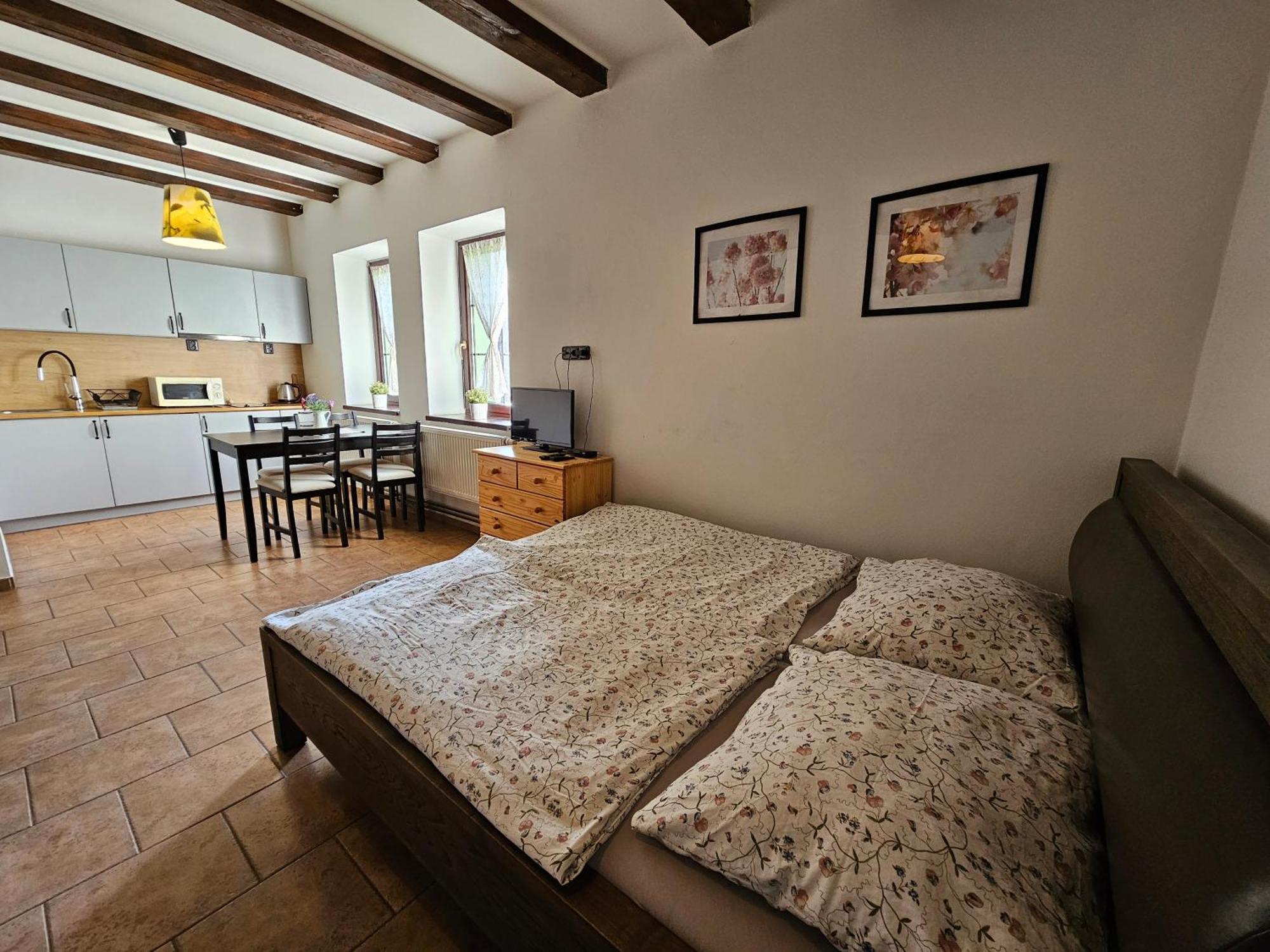Apartmanove Ubytovani V Koutech Loučná nad Desnou Zewnętrze zdjęcie