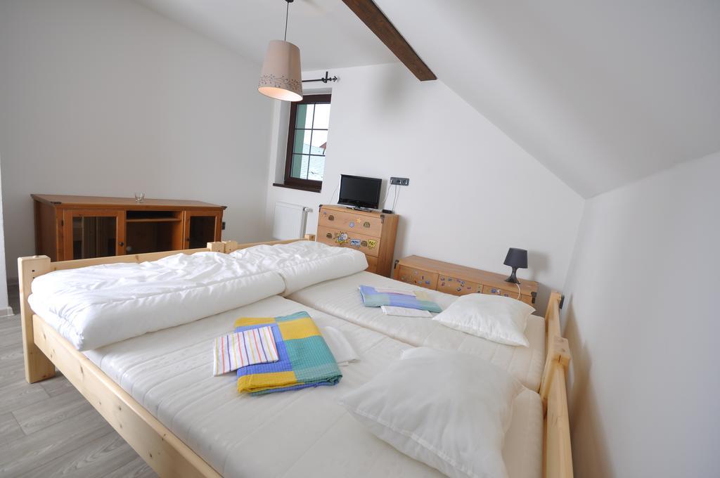 Apartmanove Ubytovani V Koutech Loučná nad Desnou Zewnętrze zdjęcie