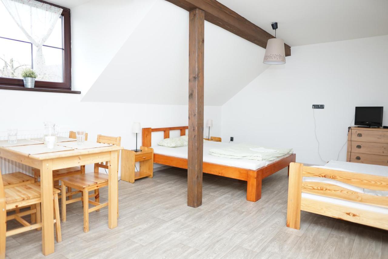 Apartmanove Ubytovani V Koutech Loučná nad Desnou Zewnętrze zdjęcie